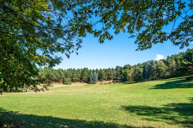 Parkın ortasında yeşil çimenlik, güneşli bir sonbahar günü.