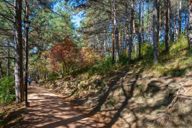 Kislovodsk, Rusya - Eylül 2019: Resort Park 'taki sağlık yolu - yürüyüş yapan insanlar