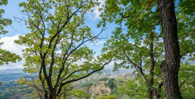 Kislovodsk, Rusya - Eylül 2019: Resort Park 'tan şehrin manzarası