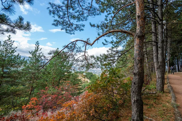 Kislowodsk-Nationalpark: Kiefern auf Felsen an einem Herbsttag — Stockfoto