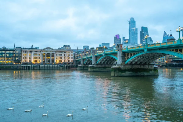 London, Uk - October 2019: білі лебеді плавають вздовж Темзи біля мосту Саутворк — стокове фото