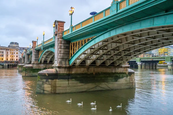 Лондон, Великобритания - октябрь 2019 года: белые лебеди плавают вдоль Темзы возле Саутваркского моста — стоковое фото