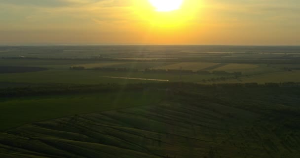Луга и сельскохозяйственные поля на закате сверху, красивый пейзаж — стоковое видео