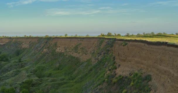 Golondrinas, acantilado de arena en la estepa, aves vuelan, día de primavera, vista del dron — Vídeos de Stock