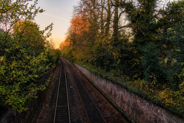 Ağaçları ile kaplı bir boş demiryolu.