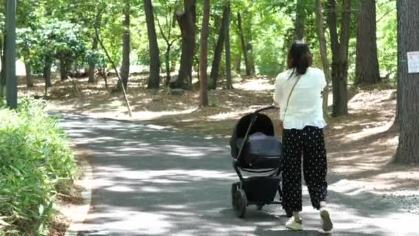 Młoda matka pchająca swoje dziecinki w dół malowniczej ścieżki parkowej. — Wideo stockowe