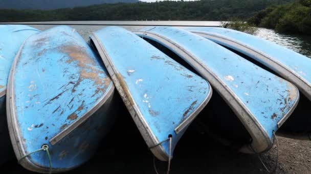 Antiguos barcos alineados junto al lago Saiko en Japón. — Vídeos de Stock