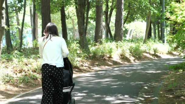 Una giovane madre che spinge la sua carrozzina per un sentiero panoramico nel parco. — Video Stock