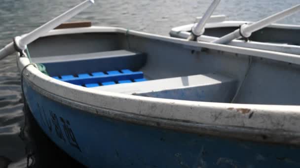 Antiguos barcos alineados junto al lago Saiko en Japón. — Vídeos de Stock