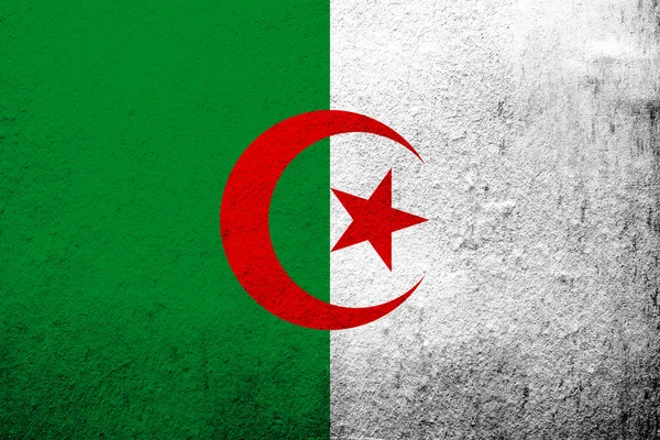 Repubblica Democratica Popolare Algeria Bandiera Nazionale Grunge Sfondo — Foto Stock