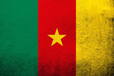 Kamerun Cumhuriyeti ulusal bayrak. Grunge arka plan