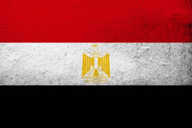 Arap Cumhuriyeti Mısır Ulusal bayrak. Grunge arka plan