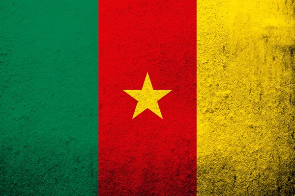 Bandera Nacional República Camerún Grunge Fondo — Foto de Stock