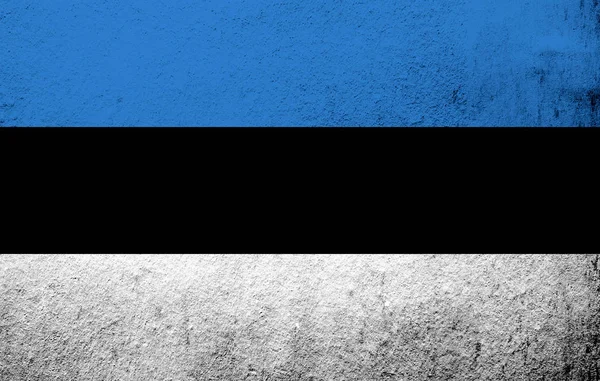 Bandeira Nacional República Estónia Sinimustvalge Fundo Grunge — Fotografia de Stock
