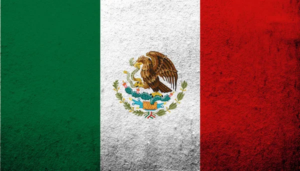United Mexican States Mexico National Flag Grunge Background — Stock Photo, Image