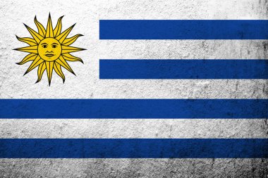 Uruguay ulusal bayrak 
