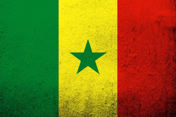 Bandera Nacional República Senegal Fondo Grunge — Foto de Stock