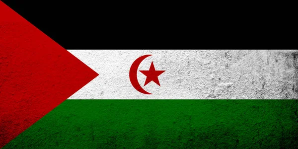 Bandiera Nazionale Della Repubblica Democratica Araba Sahrawi Grunge Sfondo — Foto Stock