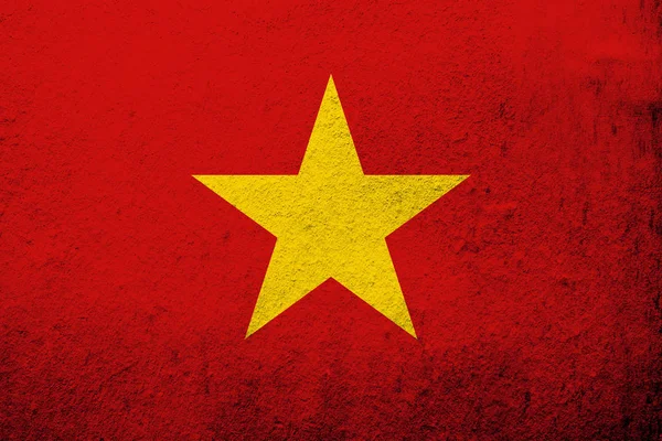 Bandiera Nazionale Della Repubblica Socialista Del Vietnam Grunge Sfondo — Foto Stock