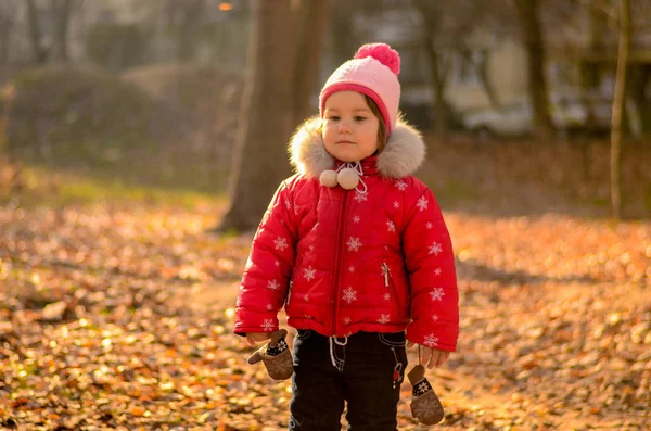 Niña Pasea Parque Otoño — Foto de Stock