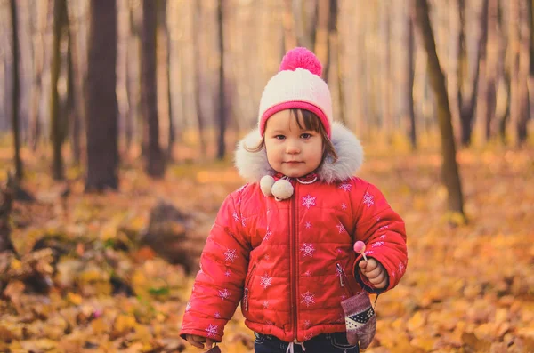 Красивая Девушка Зимней Одежде Леденцом Осеннем Парке — стоковое фото