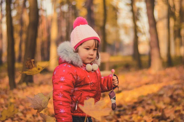Маленькая Девочка Леденцом Гуляет Осеннем Парке — стоковое фото