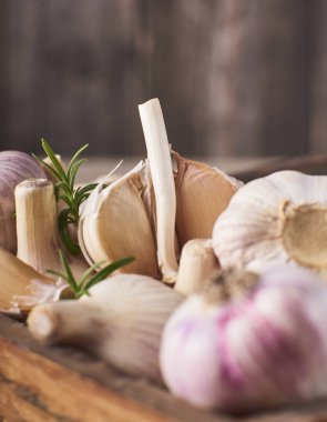 Taze Çiğ sarımsak ampuller küçük rosemary ile çok yakın çekim görünümünü tahta kutuya rustik gri arka plan üzerinde bırakır.