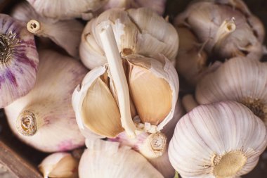 Taze Çiğ sarımsak ampuller küçük rosemary ile çok yakın çekim görünümünü ahşap kase rustik gri arka plan üzerinde bırakır.