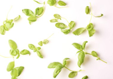 İzole üzerinde beyaz arka plan taze yeşil lezzetli fesleğen yaprağı