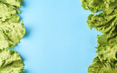 Taze yeşil marul leafes turkuaz arka plan üzerinde izole