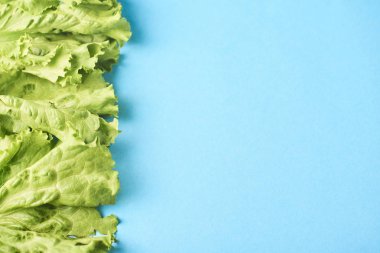 Taze yeşil marul leafes turkuaz arka plan üzerinde izole