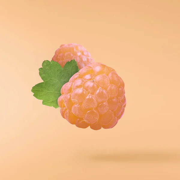 Flying fresh yellow raspberry with green leaves on yellow background. Concept of food levitation, high resolution