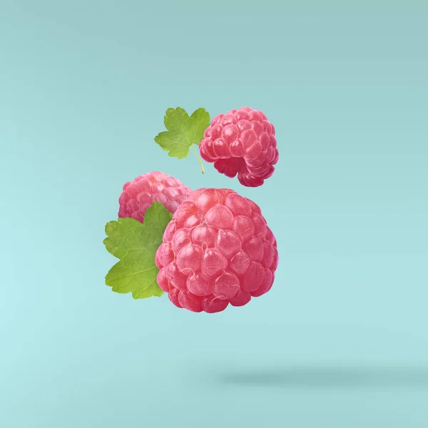 Flying fresh raspberry with green leaves on turquoise background. Concept of food levitation, high resolution