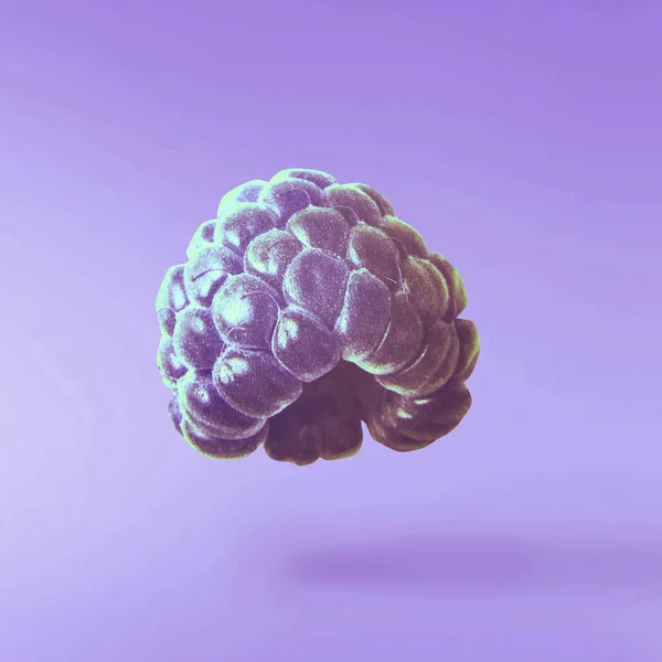 Flying fresh purple raspberry on purple background. Concept of food levitation, high resolution