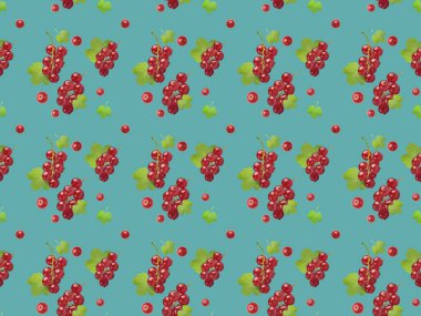 Taze üzümü yaprağı turkuaz arka plan ile. Kesintisiz renk desen