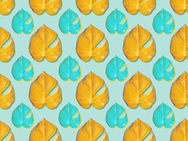 Tropical yellow and turquoise monstera leafes on turquoise background. Seamless color pattern