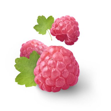 Beyaz arka plan üzerinde izole yeşil yaprakları ile taze olgun ahududu