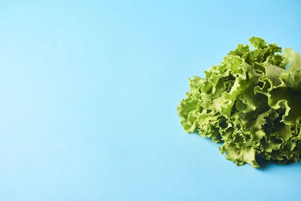 Fresh Green Lettuce Leafes Isolated Turquoise Background — Stock Photo, Image