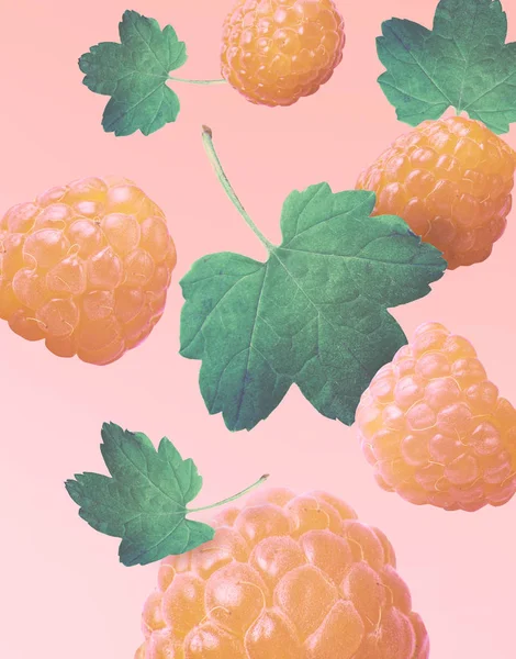Flying fresh yellow raspberry with green leaves on pink background. Concept of food levitation, high resolution