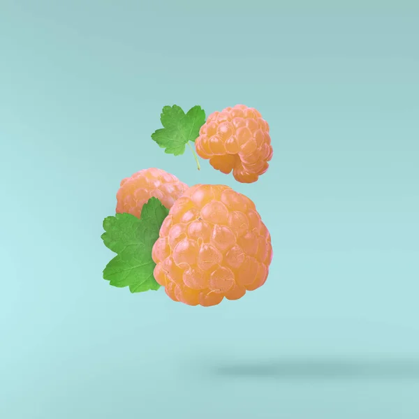 Flying fresh yellow raspberry with green leaves on turquoise background. Concept of food levitation, high resolution