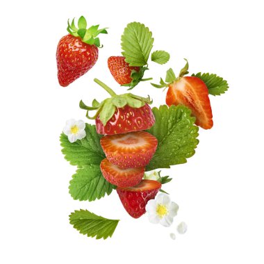 Uçan taze lezzetli olgun çilek beyaz arka plan üzerinde izole yeşil yaprakları ile. Gıda havaya yükselme kavramı. Yaratıcı yiyecekler düzen, yüksek çözünürlüklü görüntü