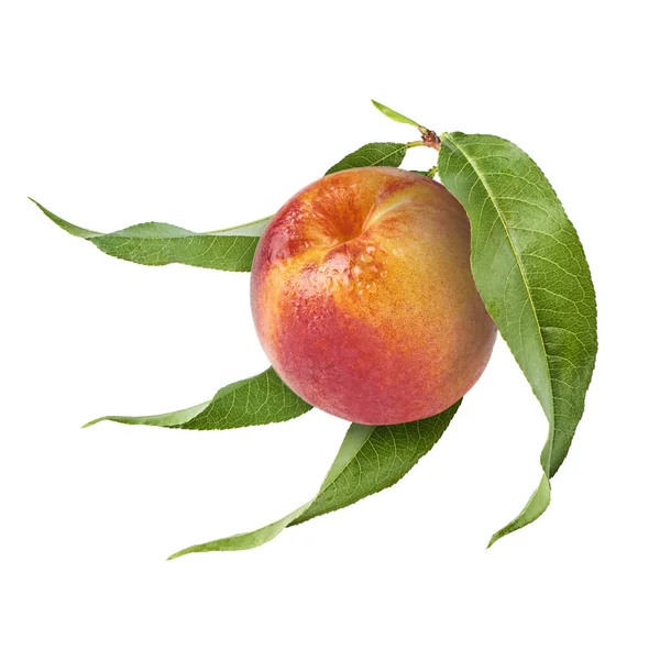新鮮な熟した桃を白い背景に分離された緑の葉に飛ぶ 食品浮上 高解像度画像の概念 — ストック写真