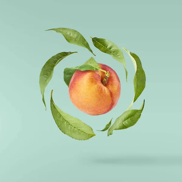 Flying fresh ripe peach with green leaves isolated on turquoise background. Concept of food levitation, high resolution image