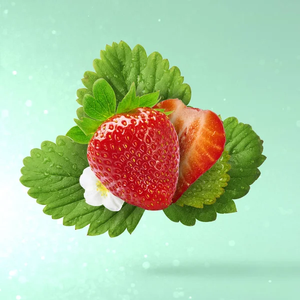 Flying Fresh tasty ripe strawberry with green leaves at turquoise background.  Food levitation concept. Creative food layout, High resolution image