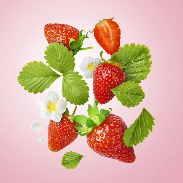 Flying Fresh Tasty Ripe Strawberry Green Leaves Isolated Pink Background — Stock Photo, Image