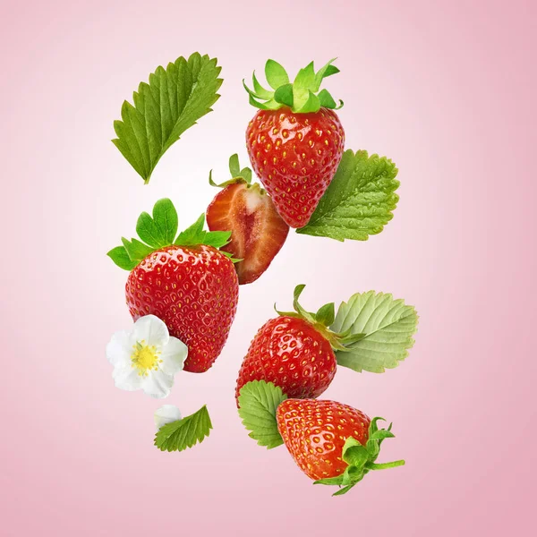 Flying Fresh tasty ripe strawberry with green leaves isolated on pink background.  Food levitation concept. Creative food layout, High resolution image