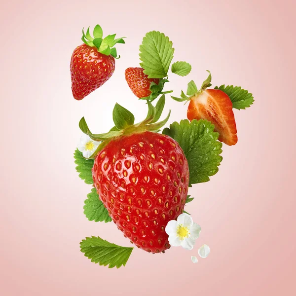 Flying Fresh tasty ripe strawberry with green leaves isolated on pink background.  Food levitation concept. Creative food layout, High resolution image