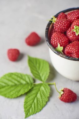 Beton zemin üzerine, tasarım moceup kupa, Yeşil taze ve olgun ahududu görünümünü yakın çekim yaprak