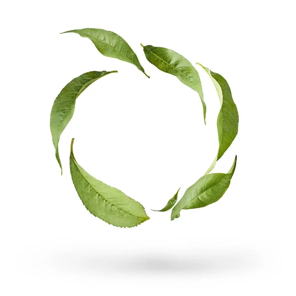 Latające Zielonej Herbaty Liści Białym Tle Białym Tle Pojęcie Lewitacja — Zdjęcie stockowe