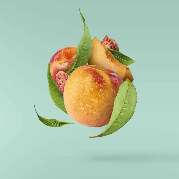 Fliegender Frischer Reifer Pfirsich Mit Grünen Blättern Auf Türkisfarbenem Hintergrund — Stockfoto
